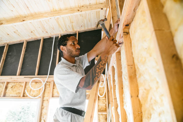 Best Blown-in Insulation  in Hauula, HI